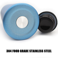 Thermos Vacuum Stainless Steel Water Bottle With Straw