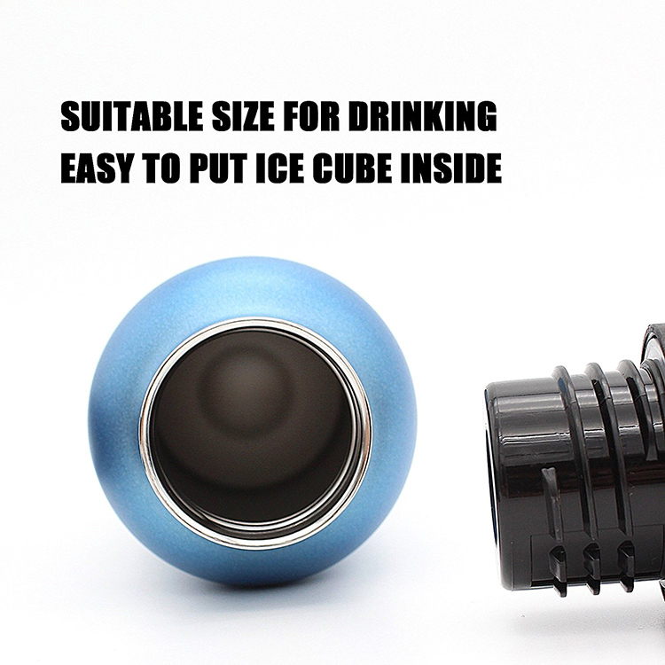 Thermos Vacuum Stainless Steel Water Bottle With Straw