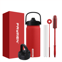 Stainless Steel Water Bottles With Straw, Double Wall Vacuum Insulation for Cold and Hot Drinks, Leak Proof BPA Free Water Flask for Sports and Travel