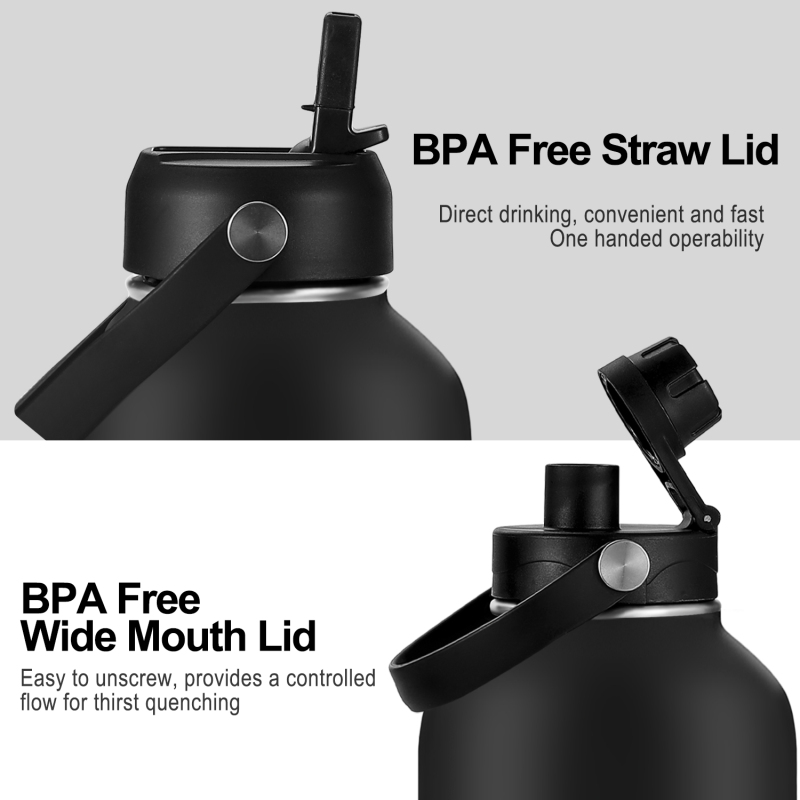 Fayren Leak Proof BPA Free Insulated Water Flask for Sports and Travel