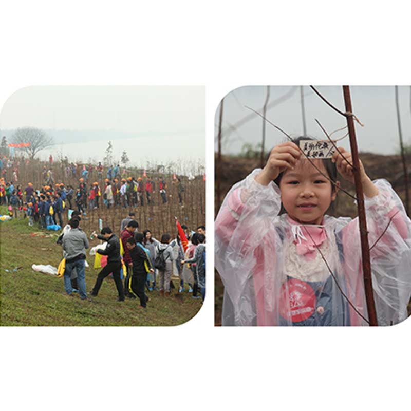 Environmental Protection, We Care!