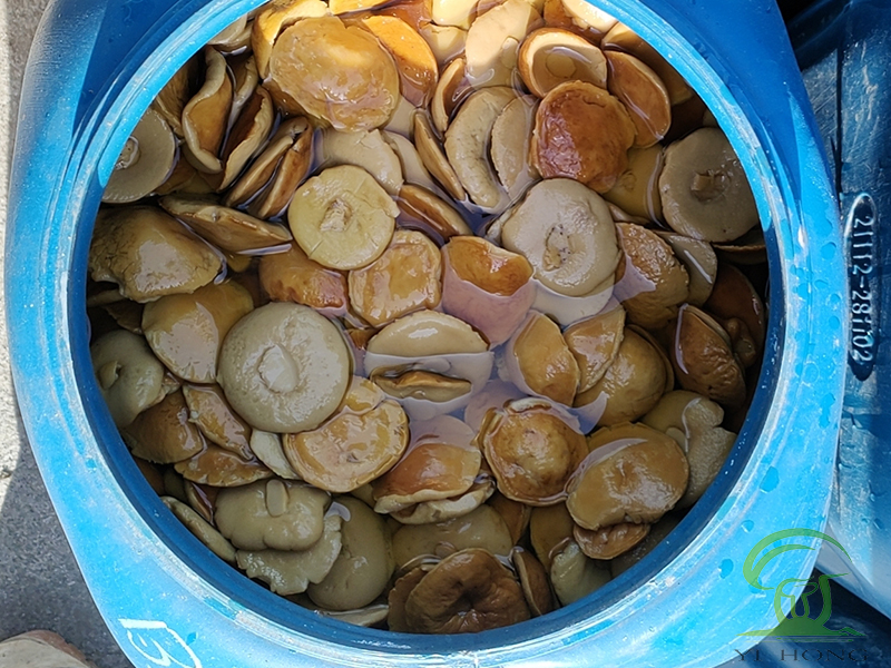 fresh premium mushrooms in brine