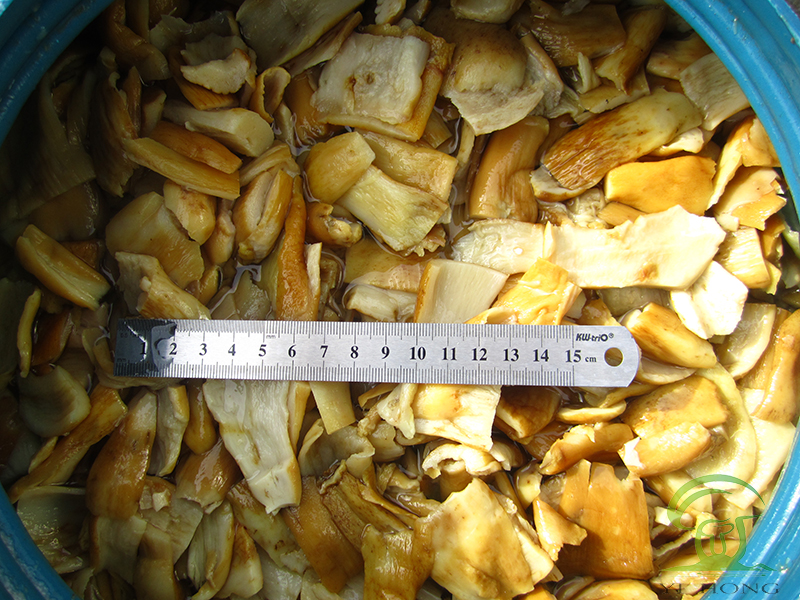 brined mushrooms slices in drum