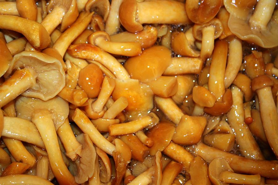 brined nameko mushrooms in drum