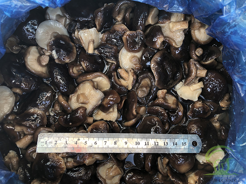 preserve shiitake mushroom in brine in drum