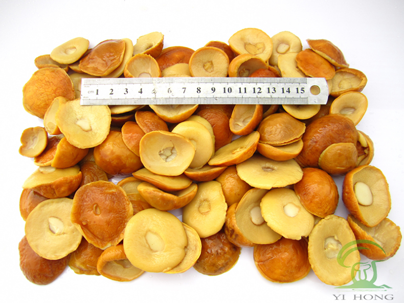 China is the largest exporter of boletus in the world.