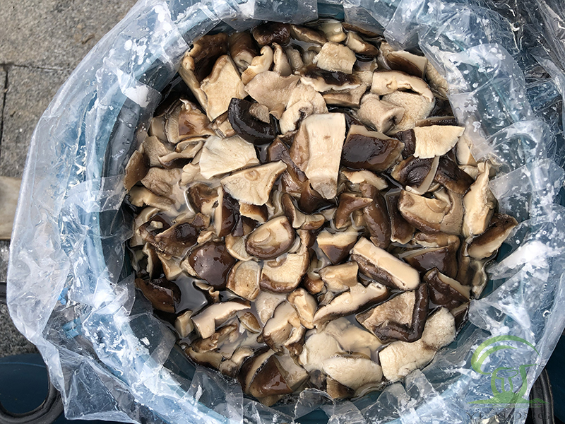 cubes shiitake mushroom in brine