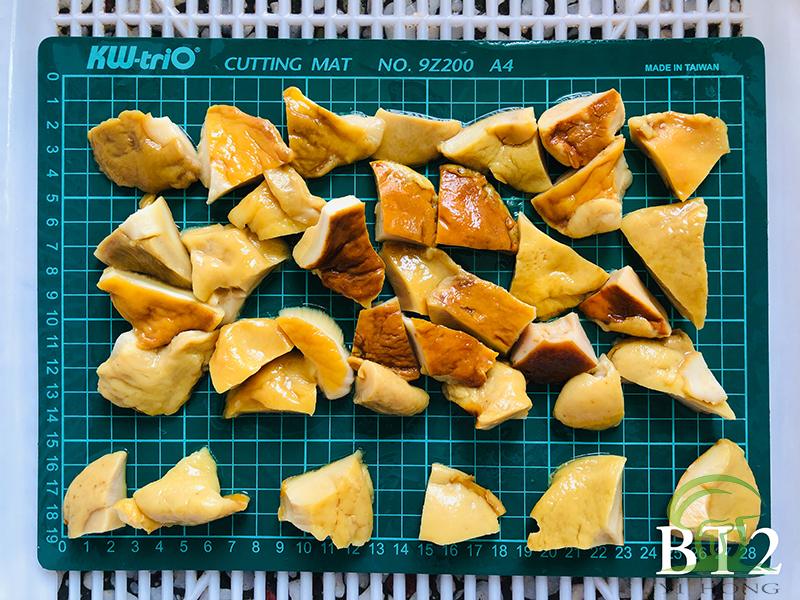 Pickled Boletus