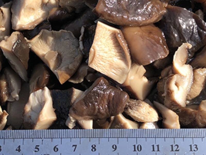 Повний посібник із грибів у розсолі: дізнайтеся про їх переваги та способи їх використання