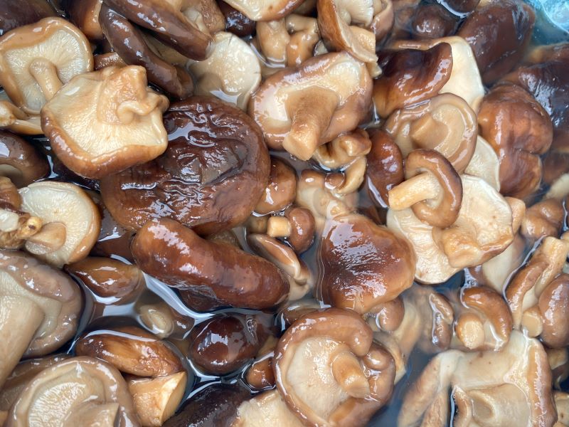 Shiitake mushrooms in brine