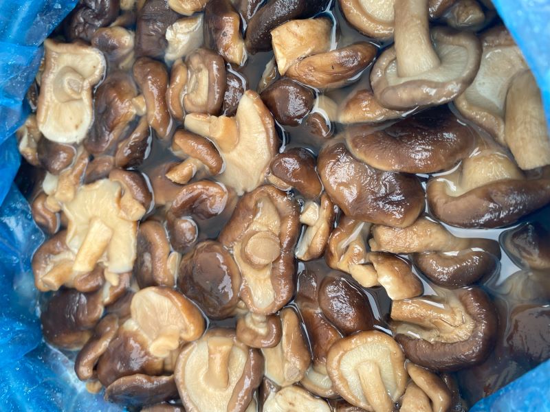 Salted wild mushrooms in brine