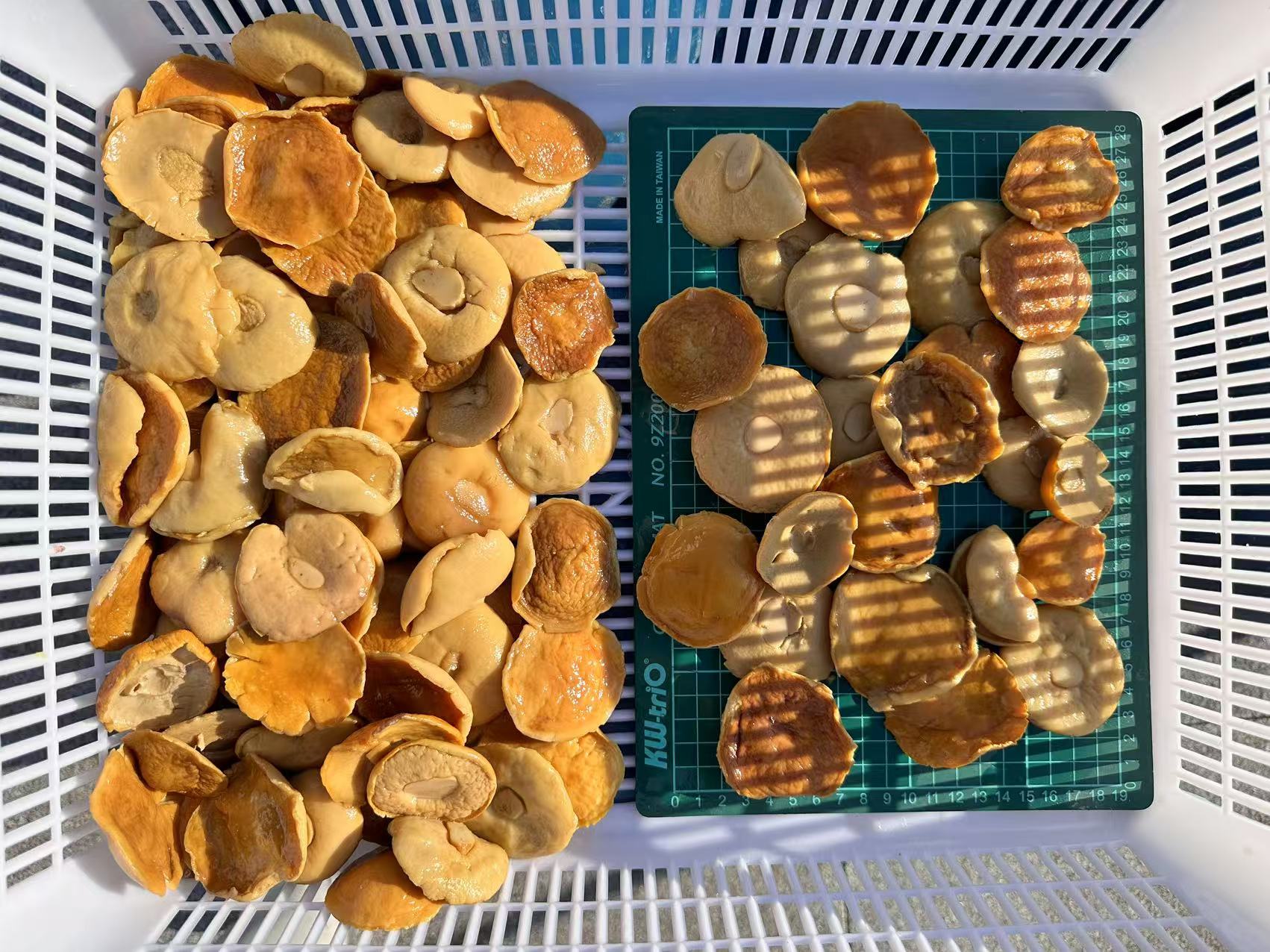 sliced porcini mushrooms in brine