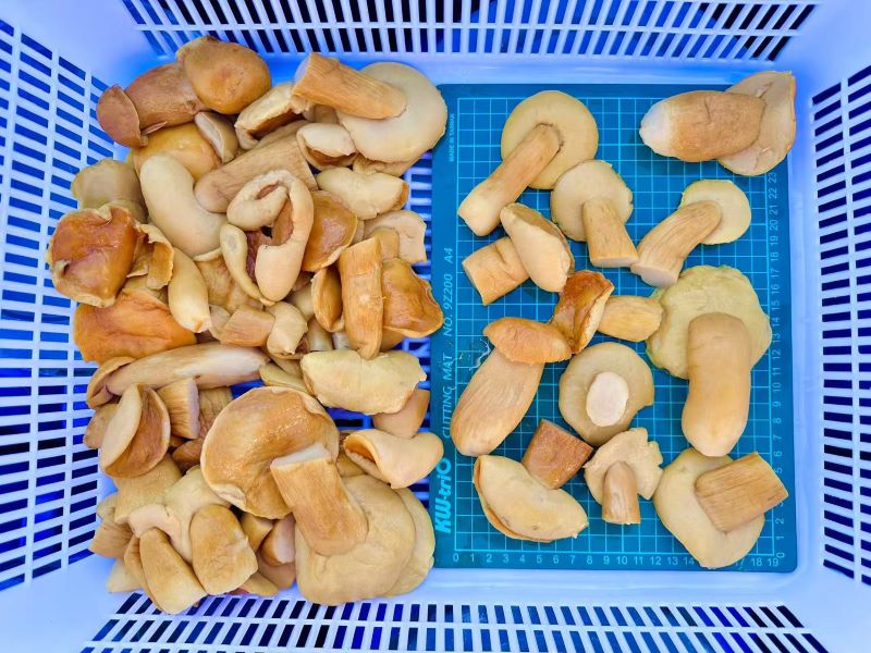 Brine Mushroom In Drum