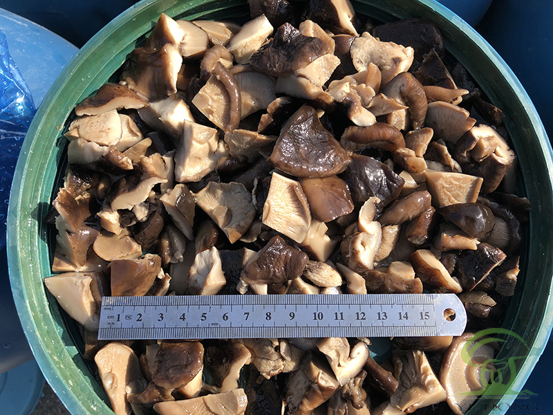 shiitake in brine