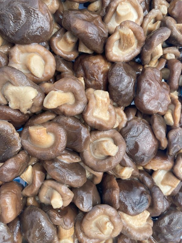 mushrooms in brine