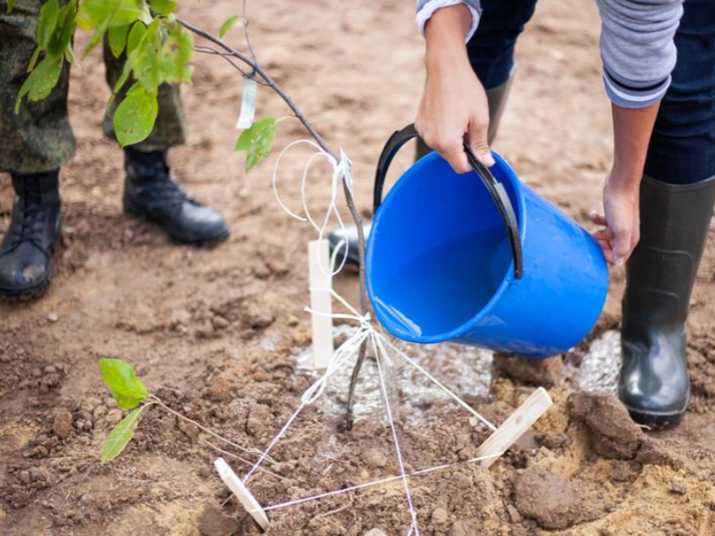 Yihong’s May Day special event: Let’s go plant trees!