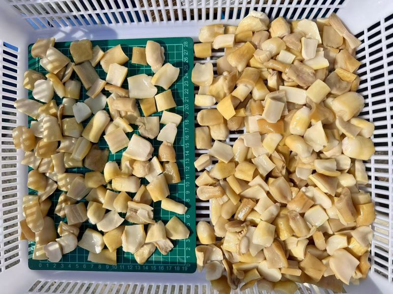 Brined Stropharia Mushroom Stem Cubes
