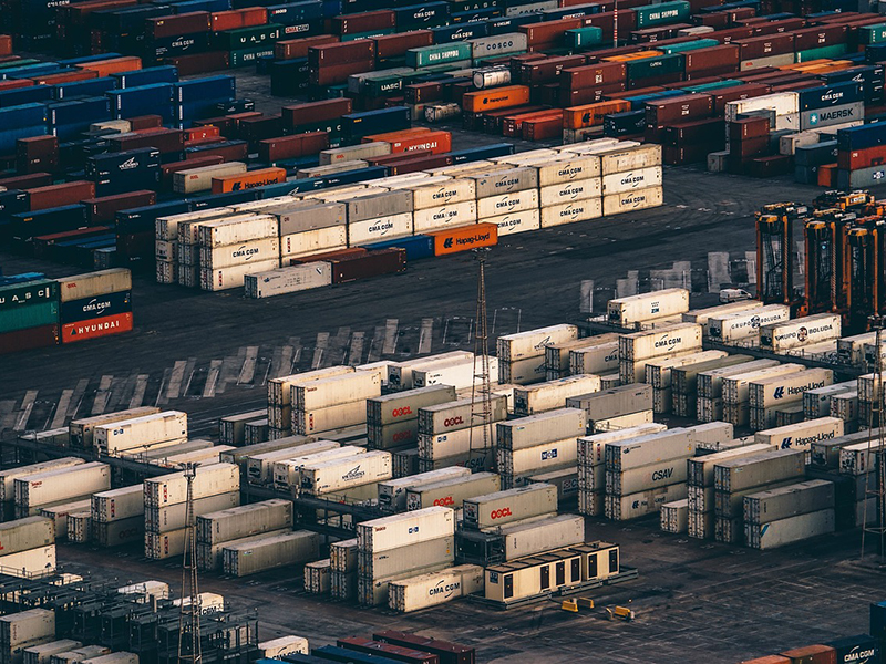 Chinas Salzpilzexporte nach Südostasien steigen weiter