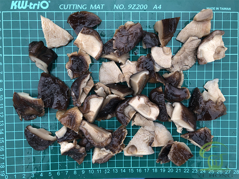 Pourquoi manger du shiitake en saumure ?