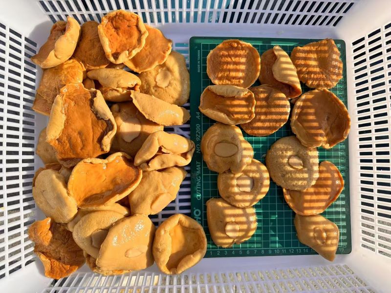 Pickled Boletus in drum