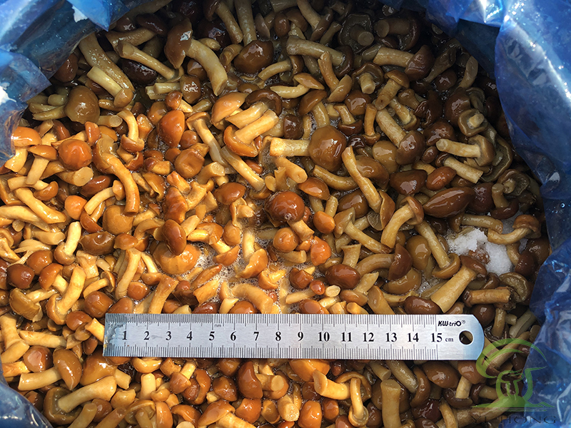 pickled nameko mushrooms