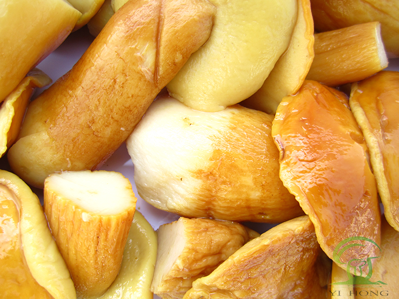 marinated porcini in brine