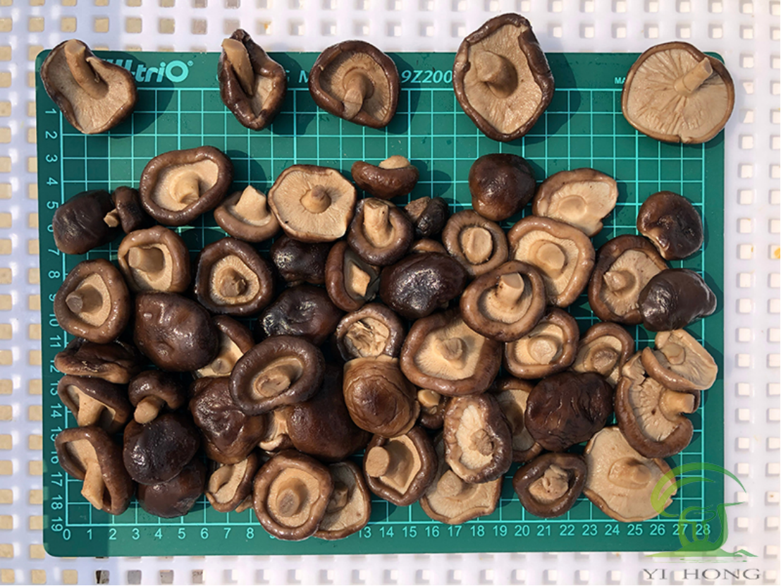 brine mushrooms