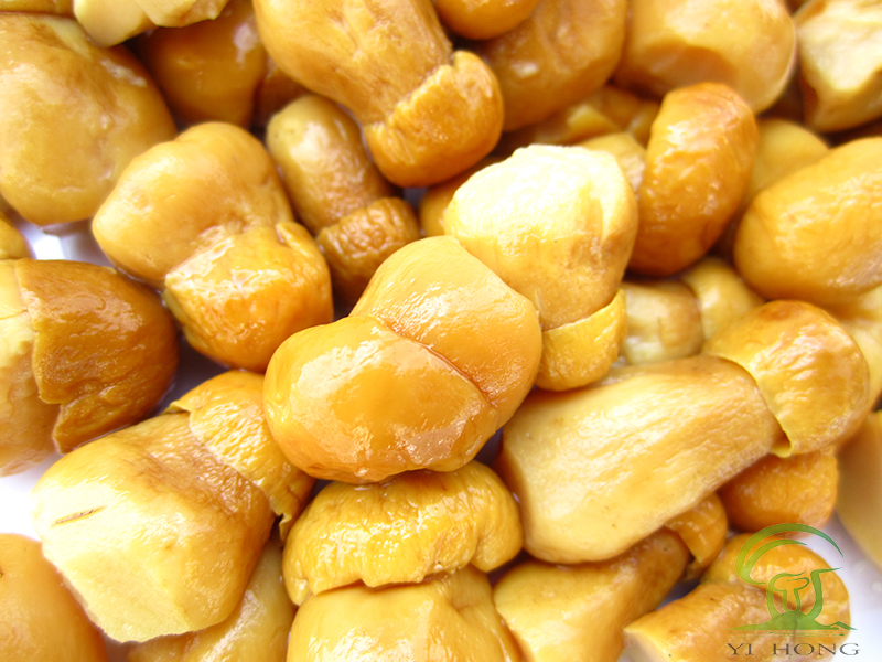 brined boletus edulis