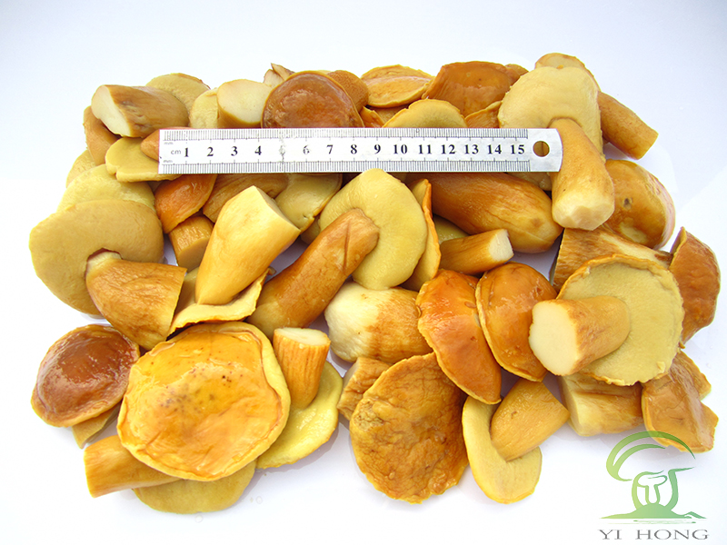 boletus edulis in brine