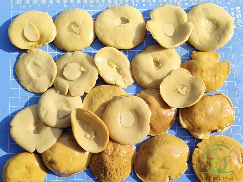 Fresh Mushrooms in Brine