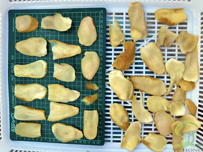 boletus edulis stems in brine