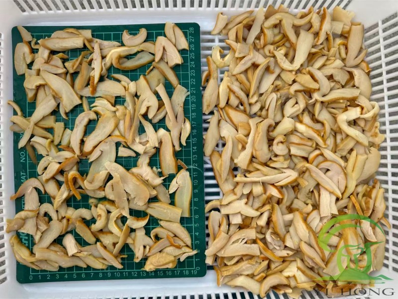 Sliced ​​Porcini Mushrooms