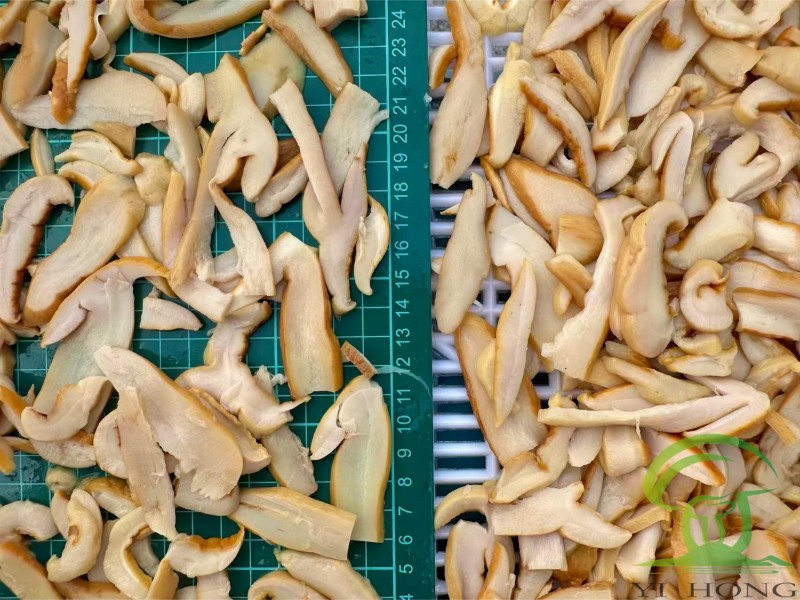 Sliced ​​Brine Porcini Mushrooms