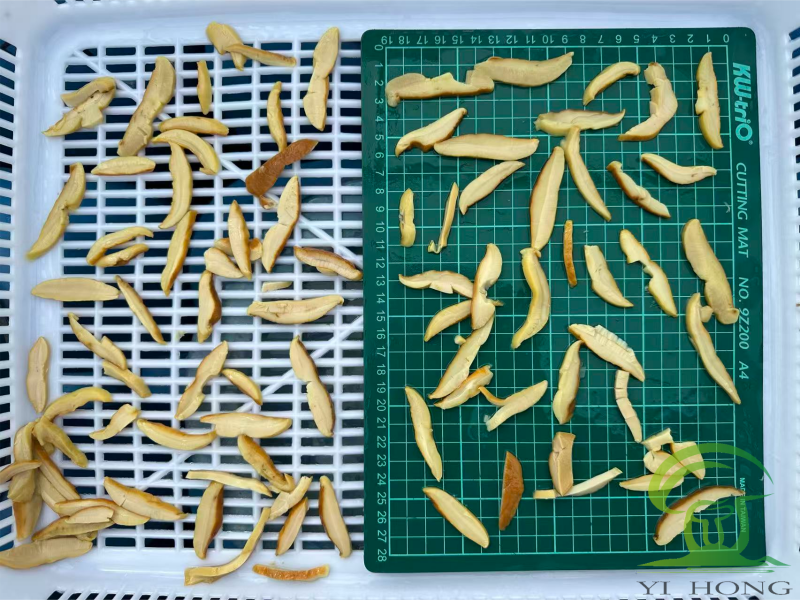 Salted Bolete Mushrooms