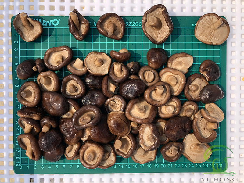 brined shiitake mushroom