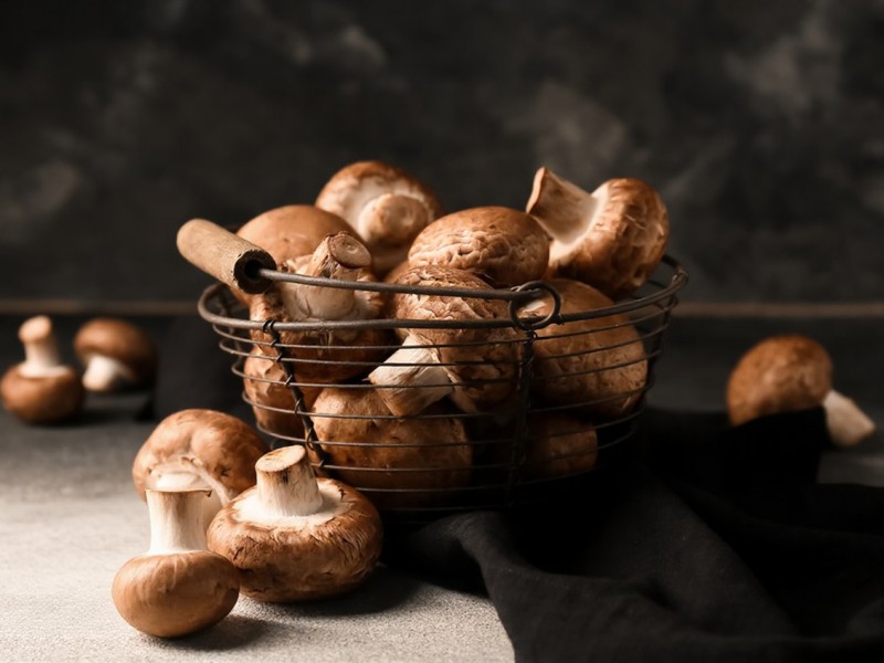 Por que a concentração de sal afeta diretamente a qualidade dos cogumelos shiitake em conserva?