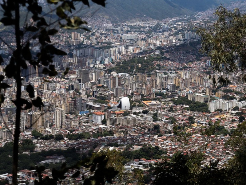 वेनेजुएला के एक खाद्य प्रसंस्करणकर्ता के लिए नमकीन शिटाके मशरूम