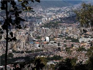 Eingelegte Shiitake-Pilze für eine venezolanische Küchenmaschine