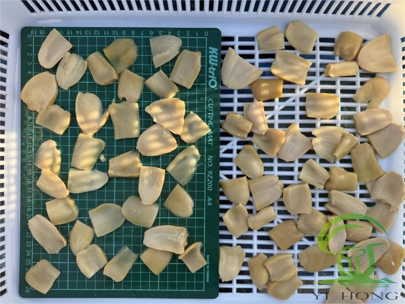 Salted Wine Cap Mushrooms