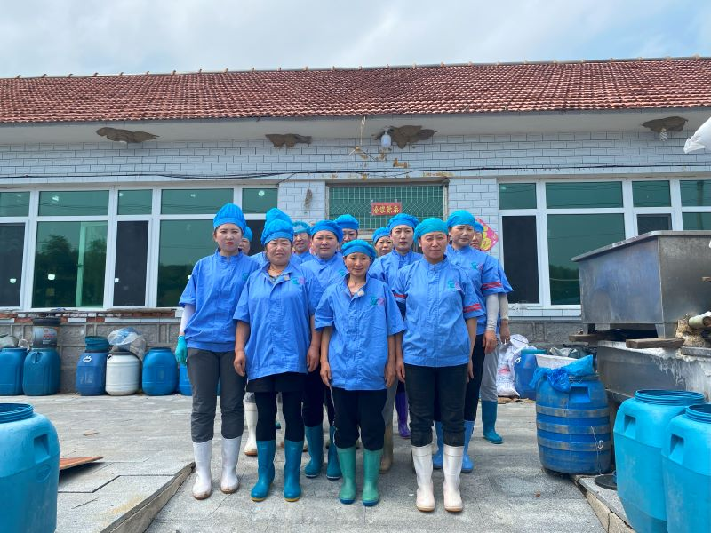 Stropharia Rugosoannulata In Brine