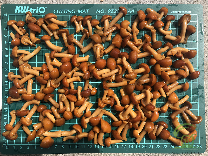 Pholiota Nameko in Brine Pholiota Nameko in Brine