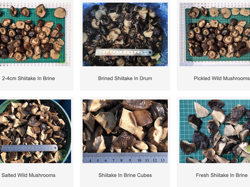 The Ultimate Guide to Sourcing Premium Bottled Salted Mushrooms: A Masterclass for Global Food Buyers (1)