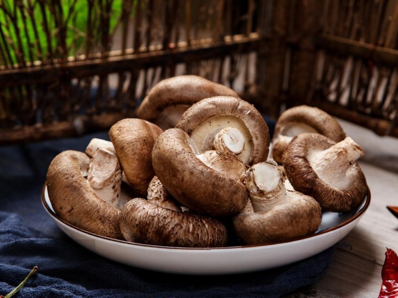 Brined vs. Dried vs. Frozen Mushrooms for Large-Scale Food Manufacturing