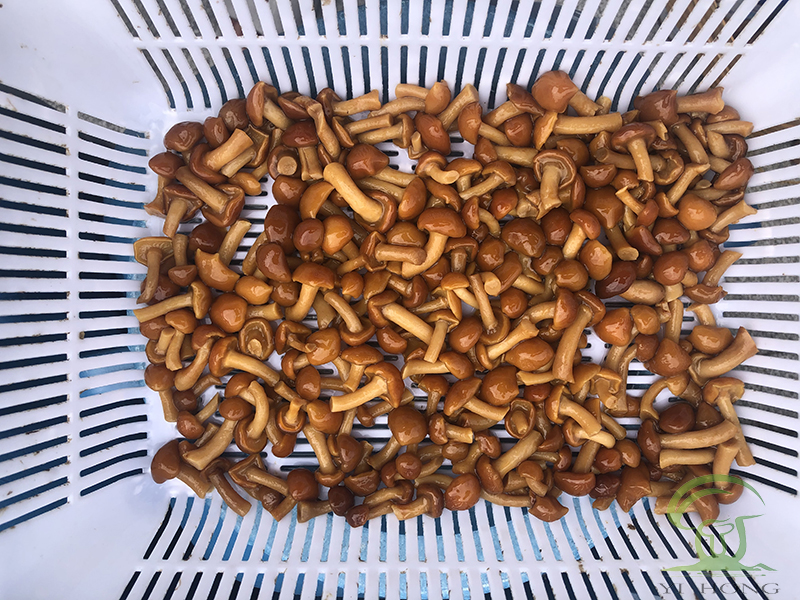 nameko mushrooms in brine