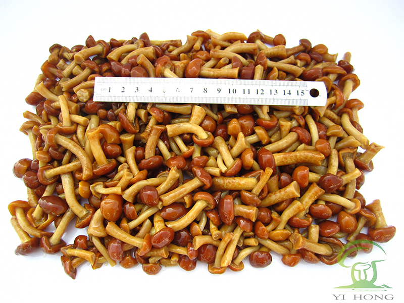 brined nameko in drum