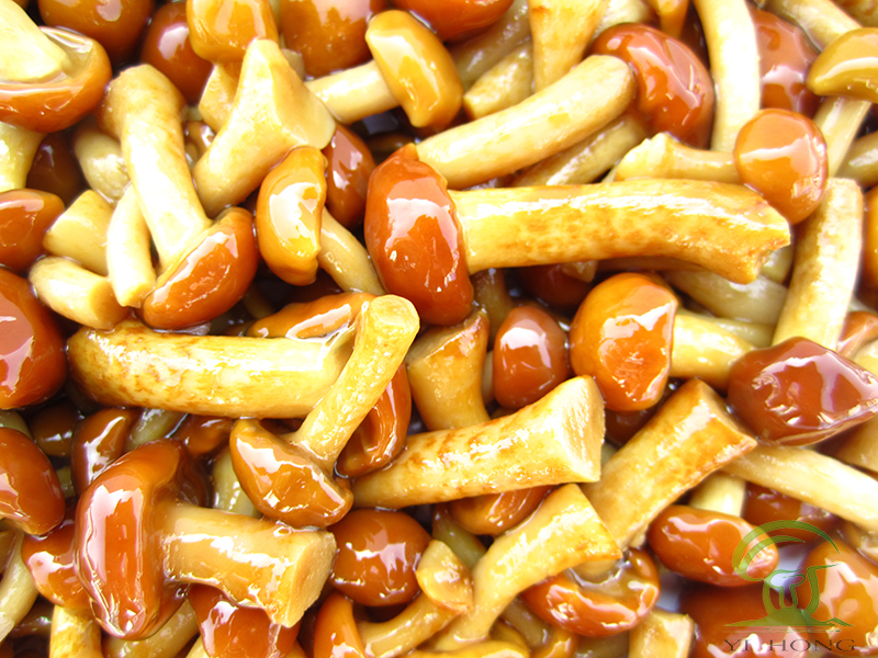 brined nameko in drum