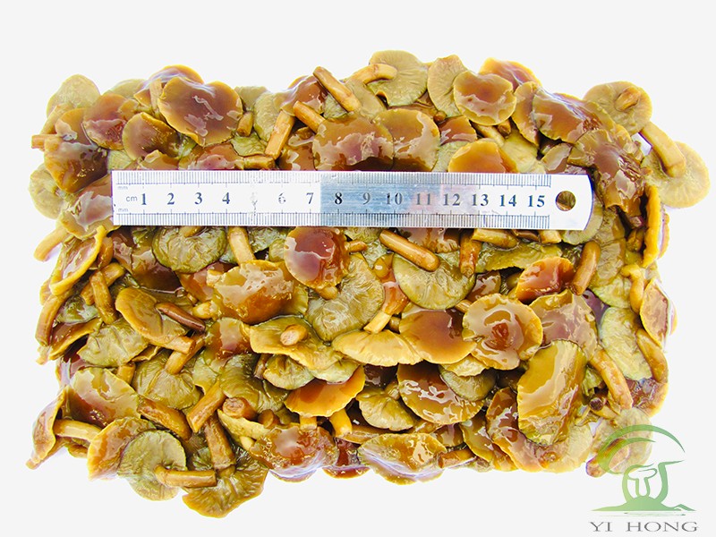 Nameko mushrooms in brine