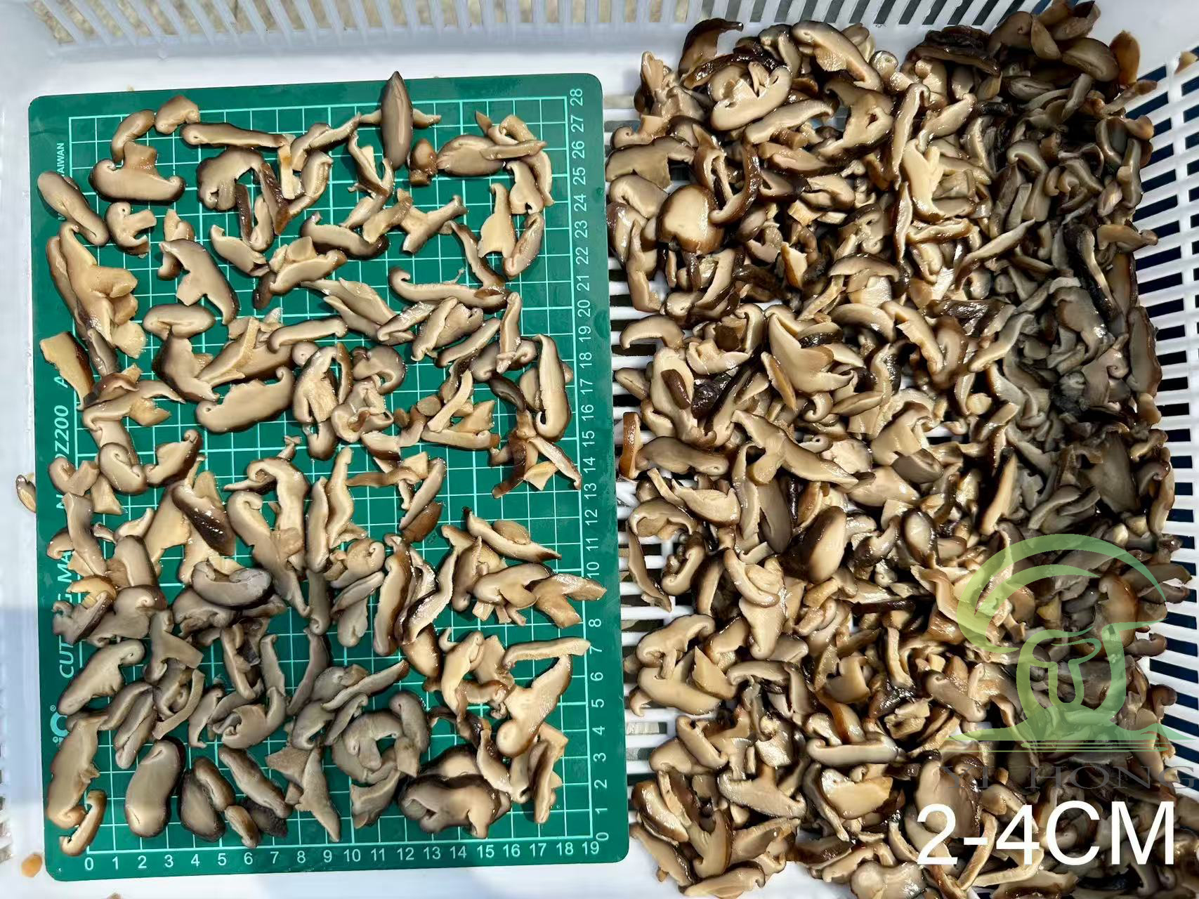 brined mushrooms brined mushrooms