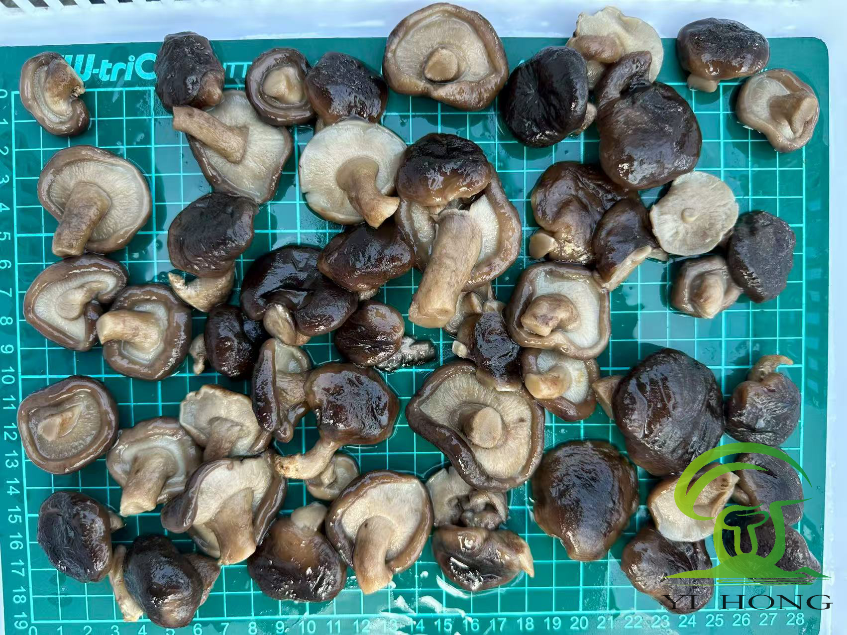 brined mushrooms brined mushrooms