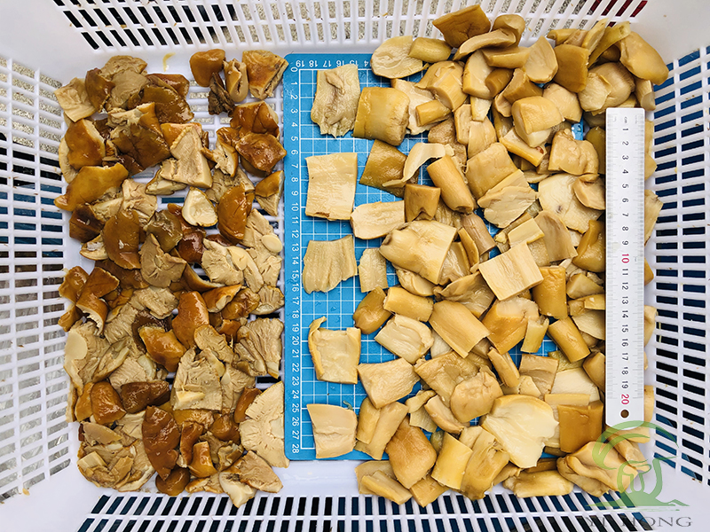 Brined Fungi